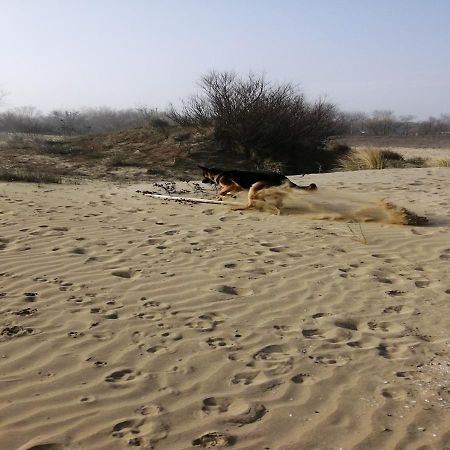 Alloggi Al Mare 7 Cavallino-Treporti Bagian luar foto