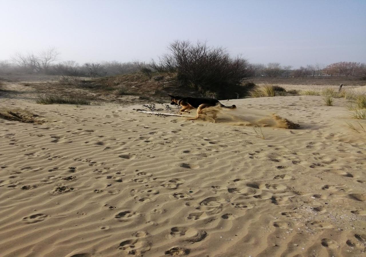 Alloggi Al Mare 7 Cavallino-Treporti Bagian luar foto