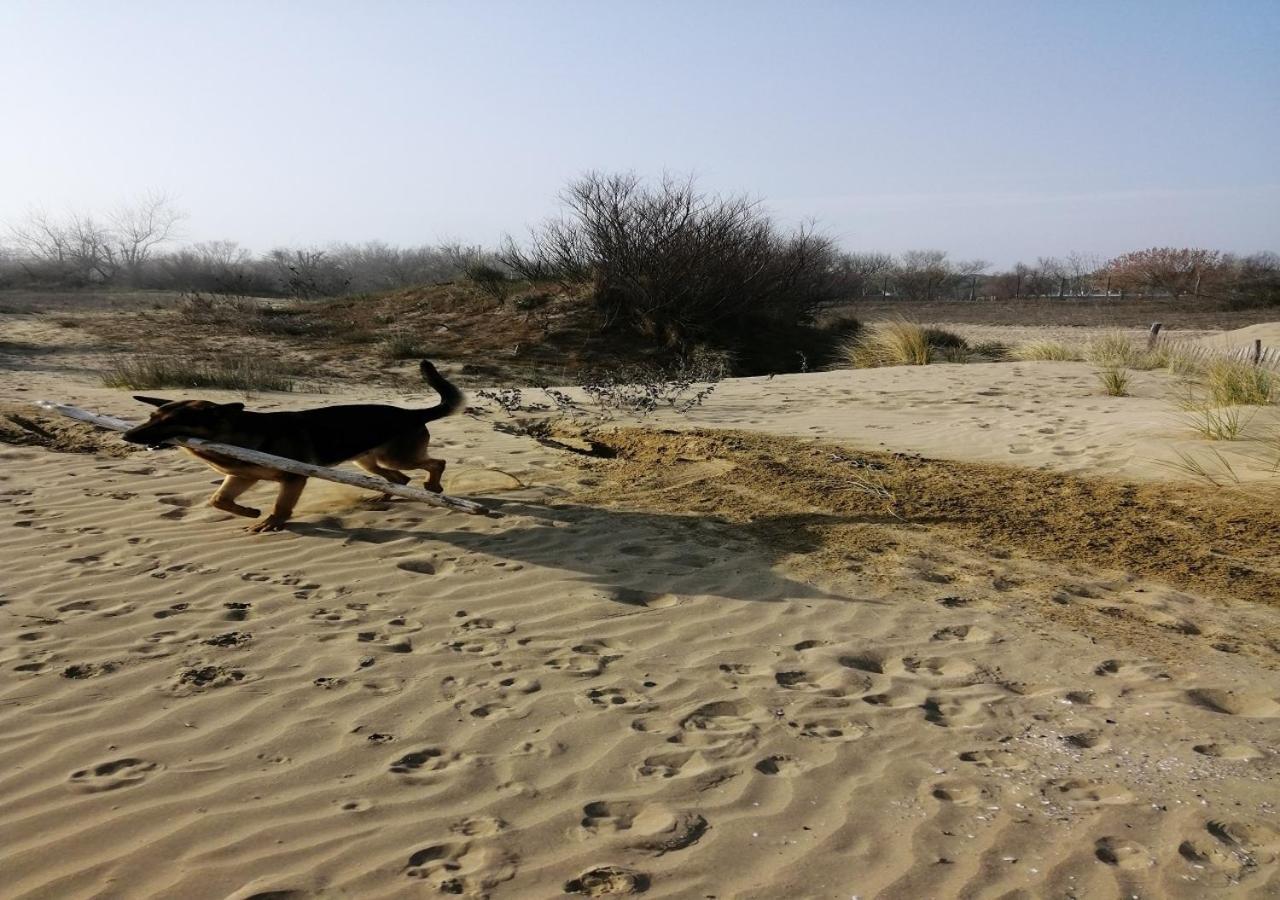 Alloggi Al Mare 7 Cavallino-Treporti Bagian luar foto